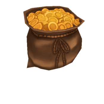 09_coin bag